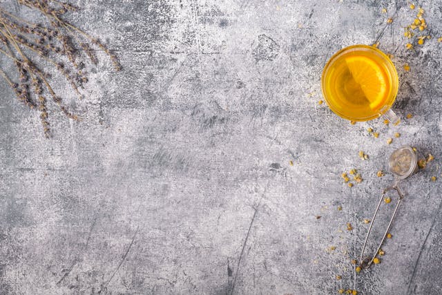 Venstrelia rovnovaha